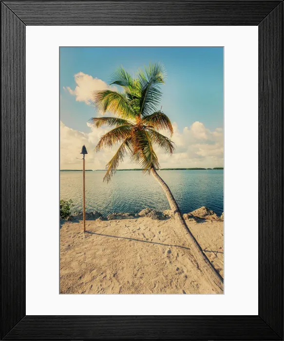 Framed Print : Florida, Islamorada