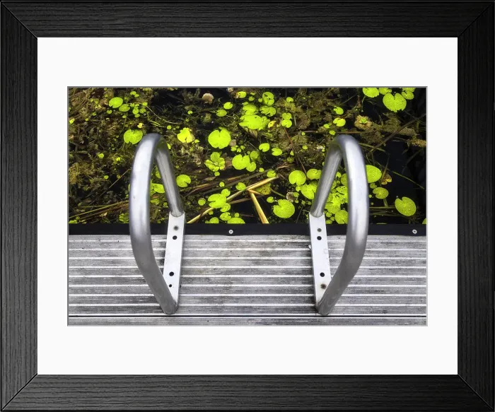 Framed Print : Diving platform handrails at the Everglades