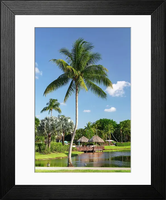 Framed Print : Florida, Boca Raton, huts with tropical palm tree