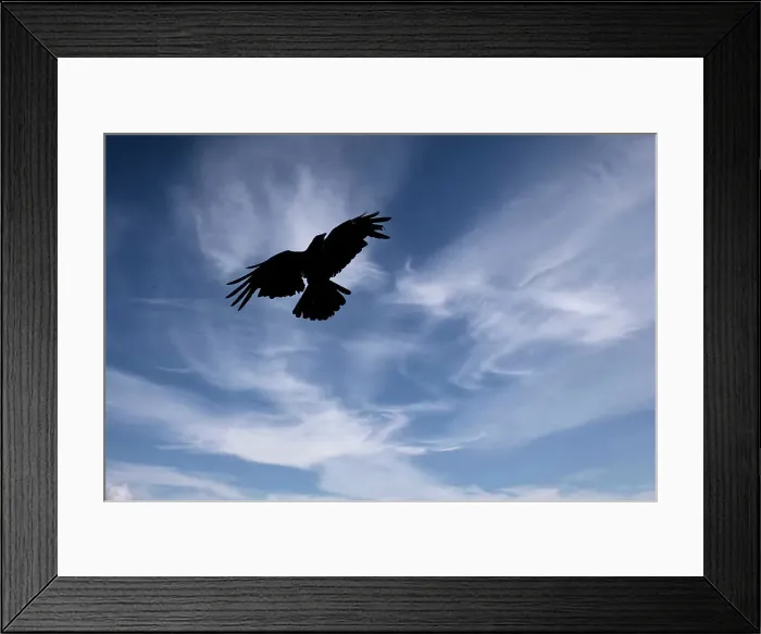 Framed Print : Abstract of bird in flight