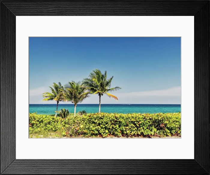 Framed Print : Tropical palm trees on beach