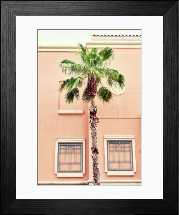 Framed Print : Tropical palm tree against pink wall Framed Print : Tropical palm tree against pink wall