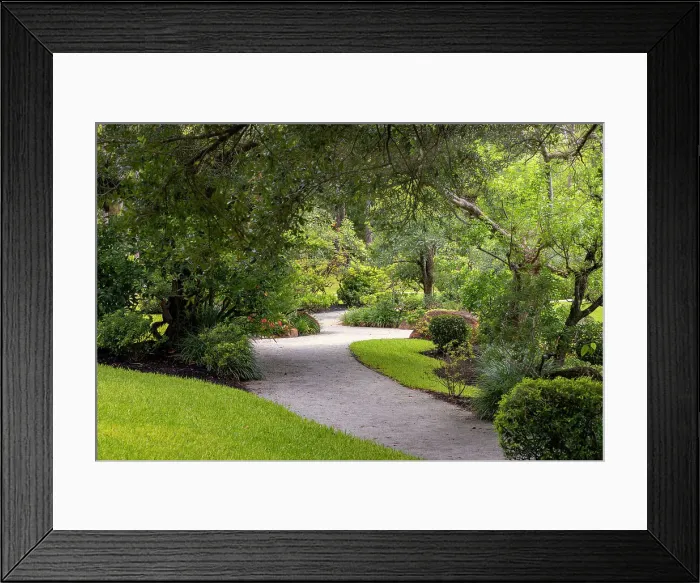 Framed Print : Winding garden path