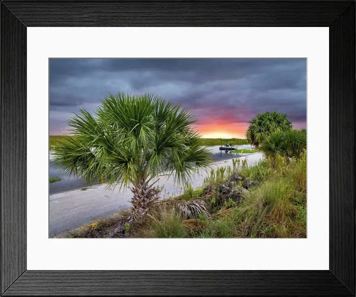 Framed Print : Florida, Everglades, Arthur R. Marshall Loxahatchee Wildlife Refuge Framed Print : Florida, Everglades, Arthur R. Marshall Loxahatchee Wildlife Refuge