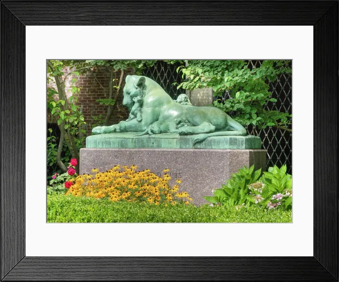 Framed Print : New York City, Brooklyn, Prospect Park