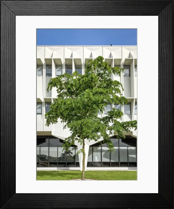 Framed Print : Florida, Boca Raton, BRiC (Boca Raton Industrial Campus. Developed in the 1960's by IBM) Framed Print : Florida, Boca Raton, BRiC (Boca Raton Industrial Campus. Developed in the 1960's by IBM)
