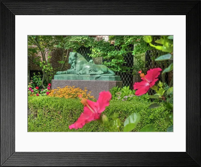 Framed Print : New York City, Brooklyn, Prospect Park Zoo, lion statue Framed Print : New York City, Brooklyn, Prospect Park Zoo, lion statue