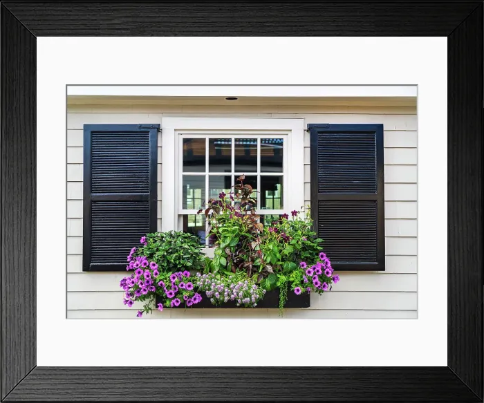 Framed Print : Rhode Island, Newport, typical window with flower box on Bannister's Wharf Framed Print : Rhode Island, Newport, typical window with flower box on Bannister's Wharf