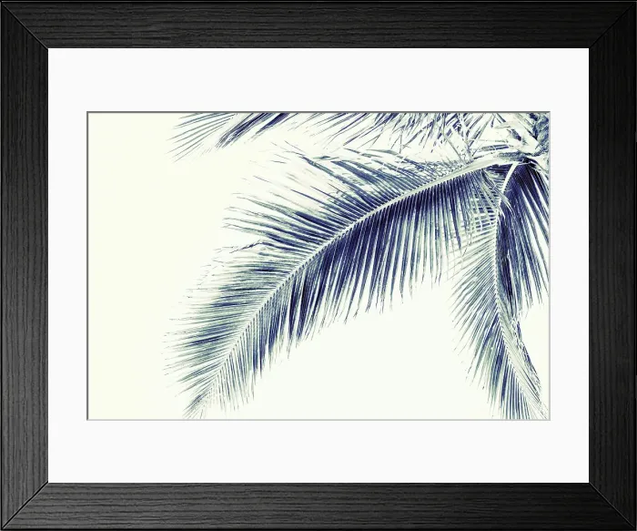 Framed Print : Close up of tropical palm fronds Framed Print : Close up of tropical palm fronds