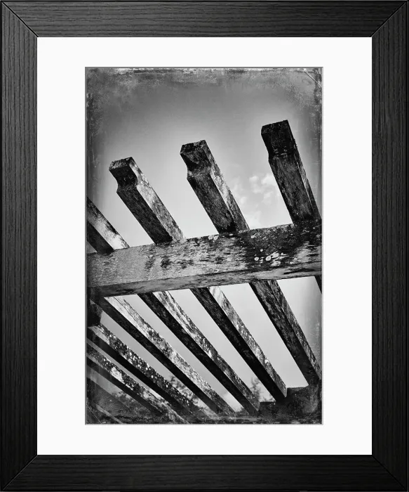 Framed Print : Florida, Palm Beach, The Society of the Four Arts Botanical Gardens, detail of pergola Framed Print : Florida, Palm Beach, The Society of the Four Arts Botanical Gardens, detail of pergola