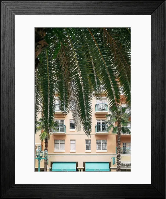 Framed Print : Florida, Boca Raton, Mizner Park, tropical palm tree facing pink building