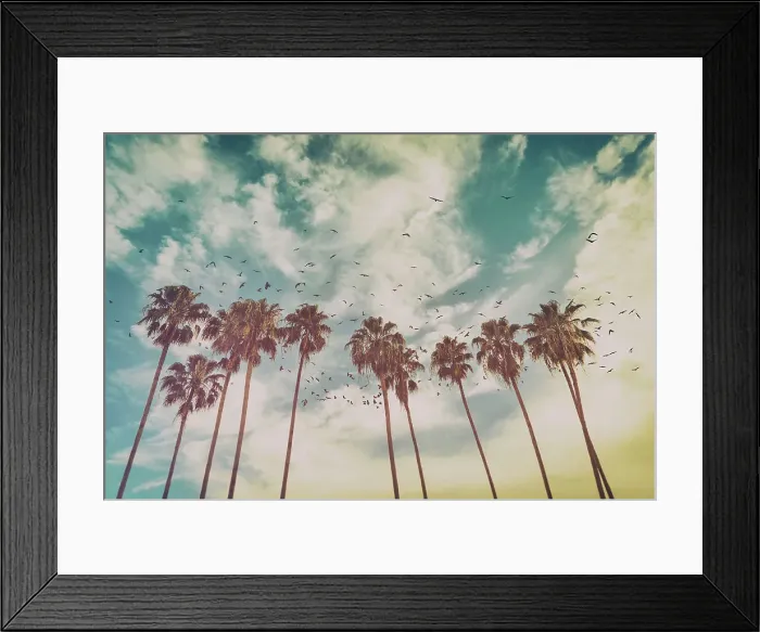 Framed Print : Cluster of tall tropical palm trees Framed Print : Cluster of tall tropical palm trees