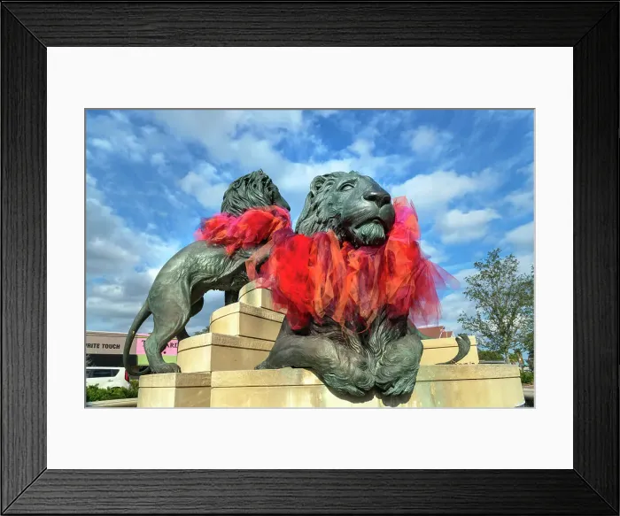 Framed Print : Florida, Jacksonville, San Marco, San Marco Square Framed Print : Florida, Jacksonville, San Marco, San Marco Square