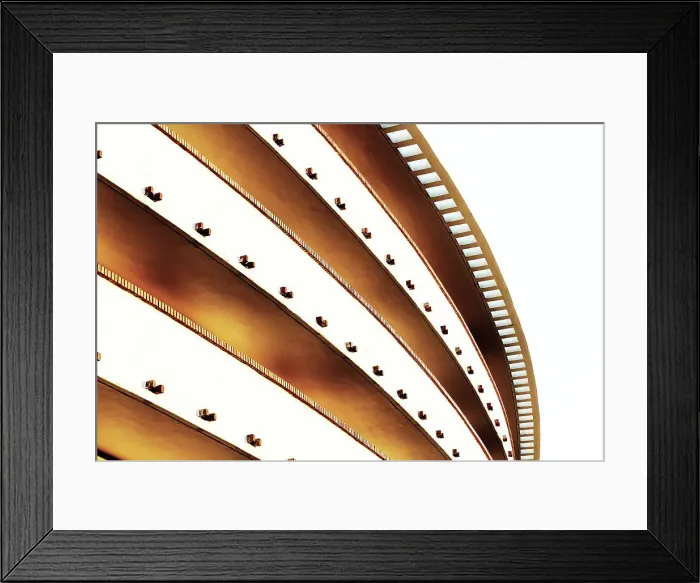 Framed Print : Round shaped condominium with palm tree in South Florida Framed Print : Round shaped condominium with palm tree in South Florida