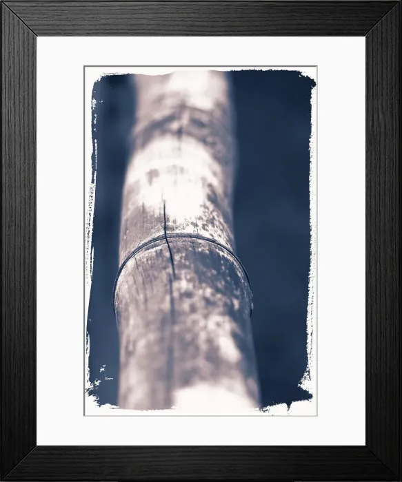 Framed Print : Closeup detail of bamboo stick