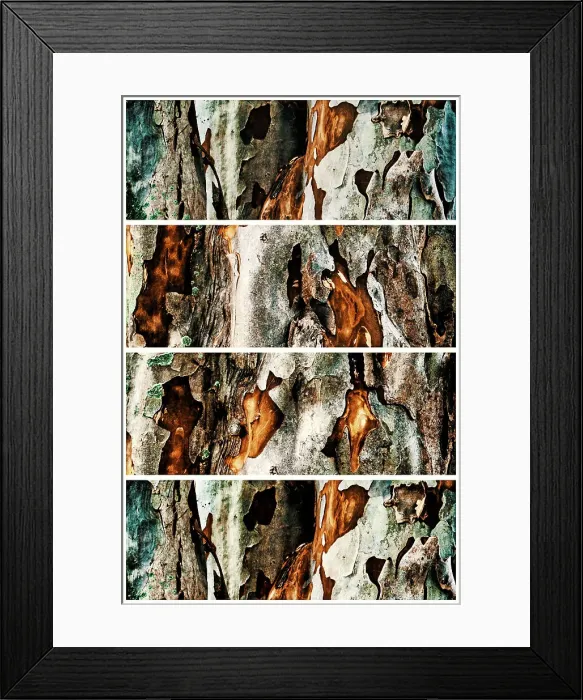 Framed Print : Closeup of tree with sections showing its texture Framed Print : Closeup of tree with sections showing its texture