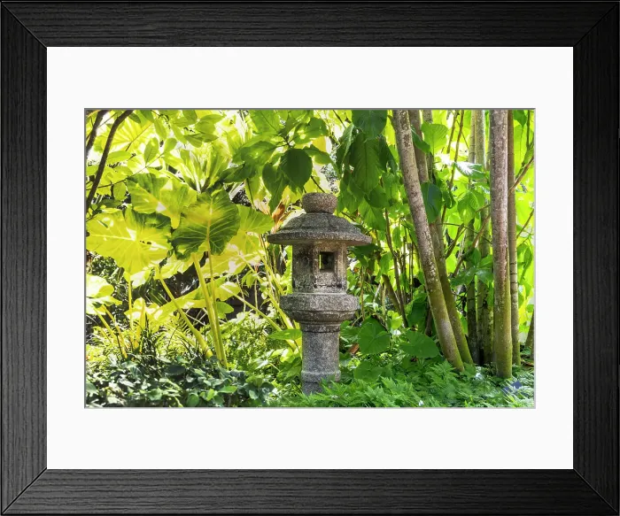 Framed Print : Florida, Palm Beach, The Society of the Four Arts Botanical Gardens Framed Print : Florida, Palm Beach, The Society of the Four Arts Botanical Gardens