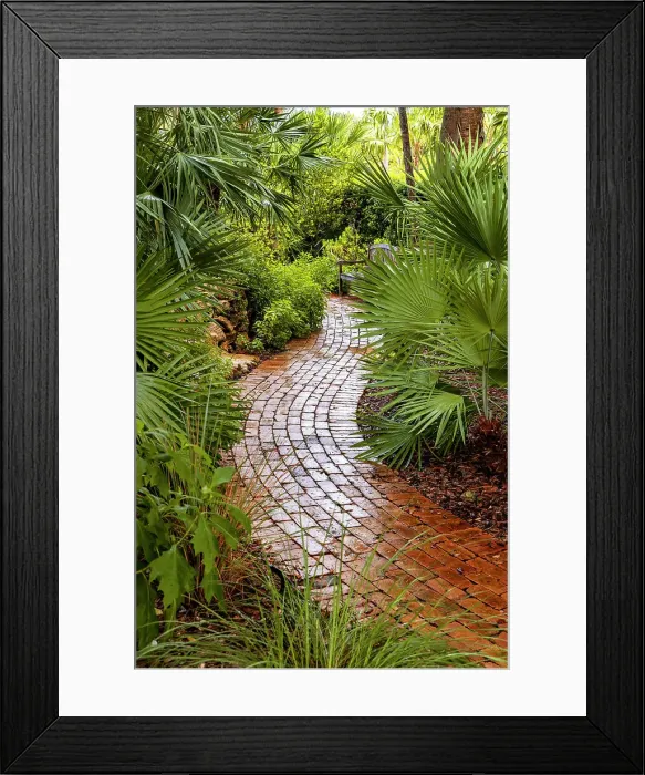 Framed Print : Winding path in garden Framed Print : Winding path in garden