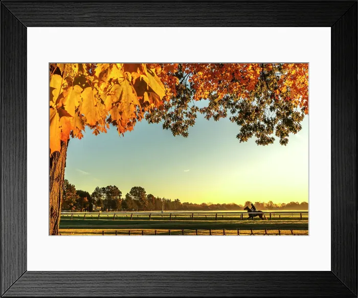 Framed Print : New York, Saratoga Springs, horse racing Framed Print : New York, Saratoga Springs, horse racing