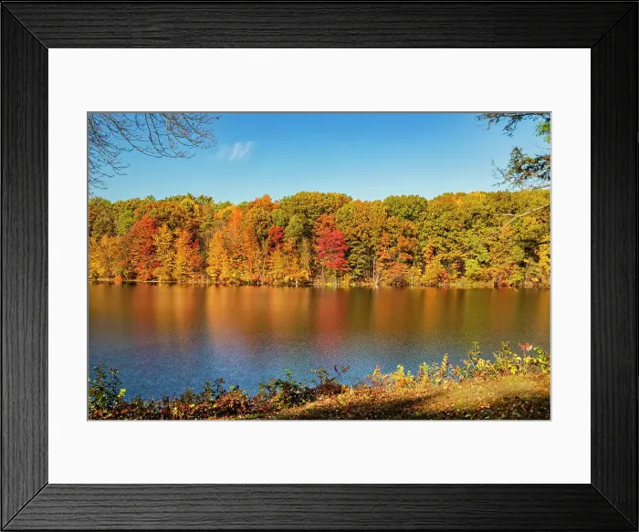 Framed Print : New York, Saratoga Springs Autumn scene near lake Framed Print : New York, Saratoga Springs Autumn scene near lake