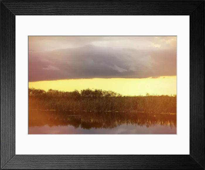 Framed Print : Florida, Boynton Beach, Arthur R. Marshall Loxahatchee National Wildlife Refuge Framed Print : Florida, Boynton Beach, Arthur R. Marshall Loxahatchee National Wildlife Refuge