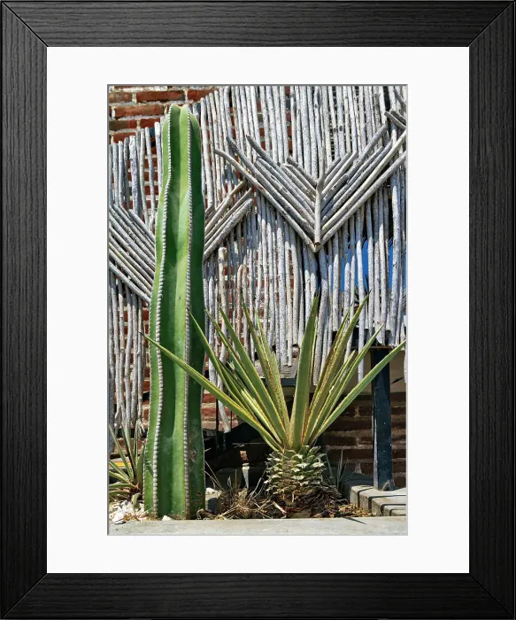 Framed Print : Mexico, Baja California Sur, Todos Santos street scene Framed Print : Mexico, Baja California Sur, Todos Santos street scene