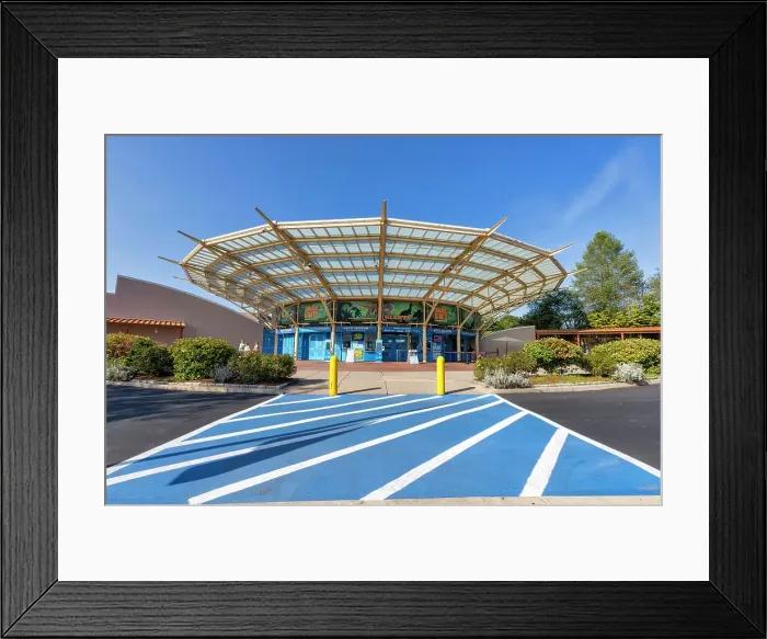 Framed Print : Connecticut, Mystic, Mystic Aquarium Framed Print : Connecticut, Mystic, Mystic Aquarium