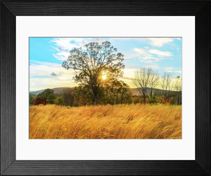 Framed Print : Beautiful nature scene of mountains, sky, and trees Framed Print : Beautiful nature scene of mountains, sky, and trees