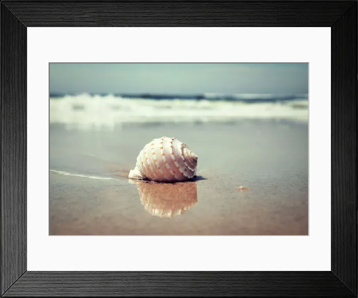 Framed Print : Waves and shell on beach Framed Print : Waves and shell on beach