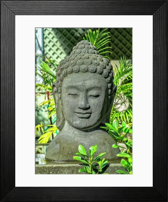Framed Print : Florida, Davie, Flamingo Gardens (west of Fort Lauderdale)