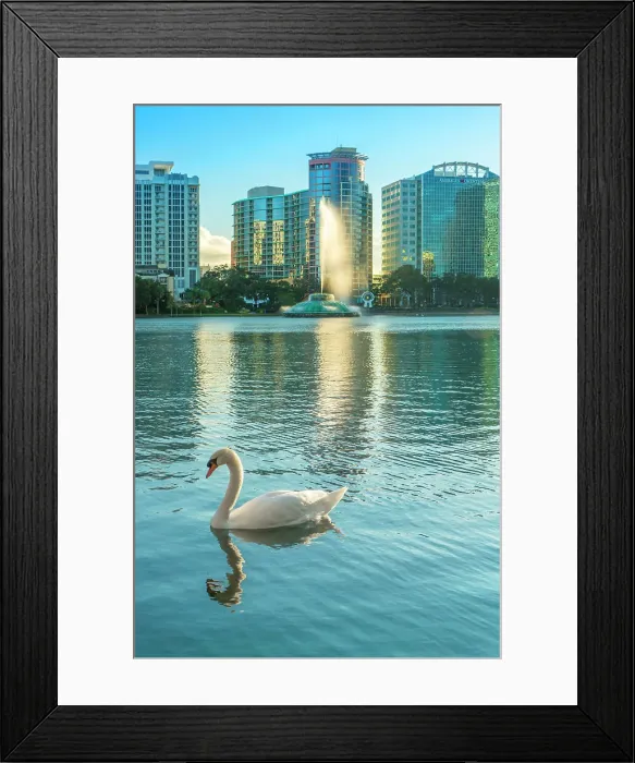 Framed Print : Florida, Orlando, Lake Eola, skyline and swan