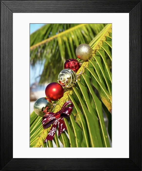 Framed Print : Palm tree leaf with Christmas ornaments Framed Print : Palm tree leaf with Christmas ornaments
