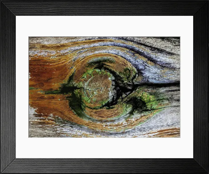 Framed Print : Pattern in wood Framed Print : Pattern in wood