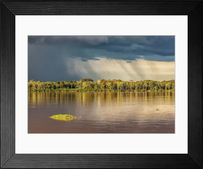 Framed Print : Brazil, Amazon river scene