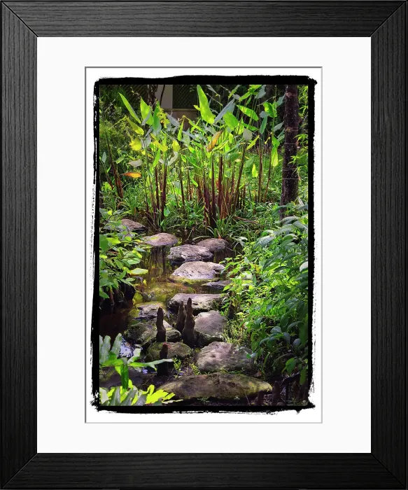 Framed Print : Florida, Palm Beach, Pan's Garden with pathway made of rock Framed Print : Florida, Palm Beach, Pan's Garden with pathway made of rock
