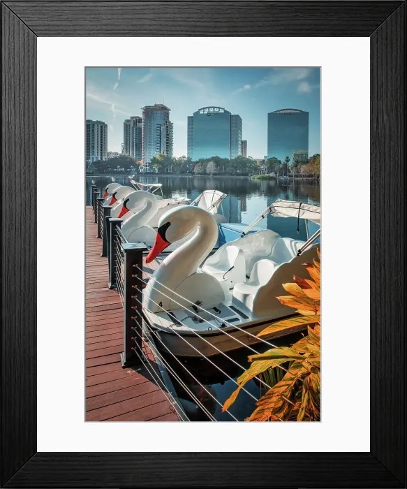Framed Print : Florida, Orlando, Lake Eola and downtown views with swan paddleboats Framed Print : Florida, Orlando, Lake Eola and downtown views with swan paddleboats