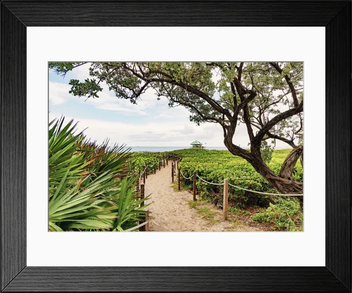 Framed Print : Florida, Delray Beach, path heading towards the beach Framed Print : Florida, Delray Beach, path heading towards the beach