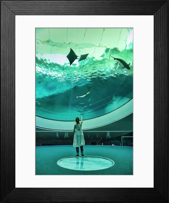 Framed Print : USA, Florida, Aquarium at the Frost Art Museum Framed Print : USA, Florida, Aquarium at the Frost Art Museum