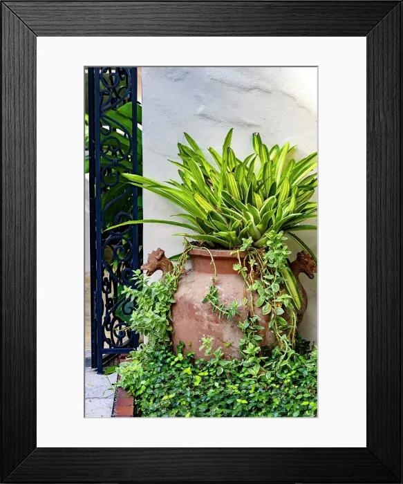 Framed Print : Decorative potted plant Framed Print : Decorative potted plant
