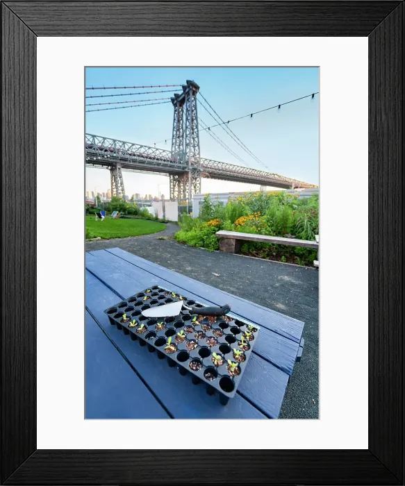 Framed Print : New York City, Brooklyn, Williamsburg, Havemeyer Park Framed Print : New York City, Brooklyn, Williamsburg, Havemeyer Park