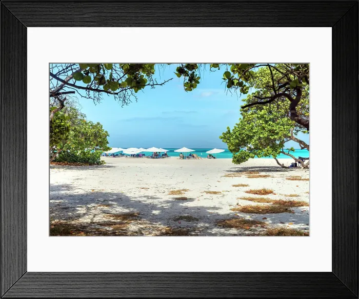 Framed Print : Aruba, Eagle beach scene