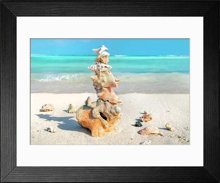 Framed Print : Aruba, Baby beach scene Framed Print : Aruba, Baby beach scene