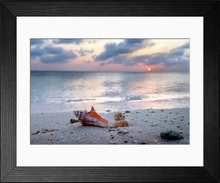 Framed Print : Aruba, Sunset Scene at Juanita beach Framed Print : Aruba, Sunset Scene at Juanita beach