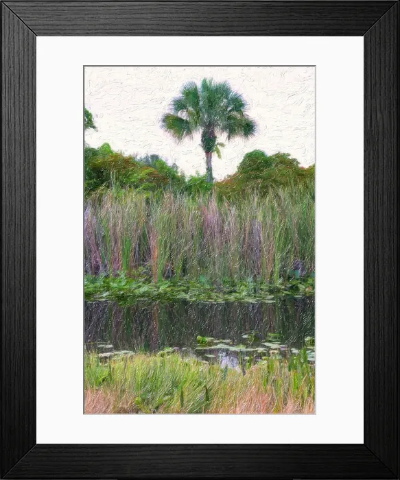 Framed Print : Oil painting of palm tree in the marshes Framed Print : Oil painting of palm tree in the marshes