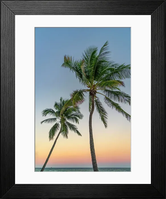 Framed Print : Florida, Key West