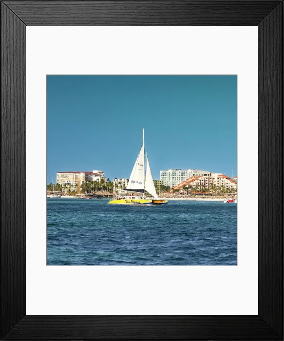 Framed Print : Aruba, Palm Beach and Catamaran Framed Print : Aruba, Palm Beach and Catamaran