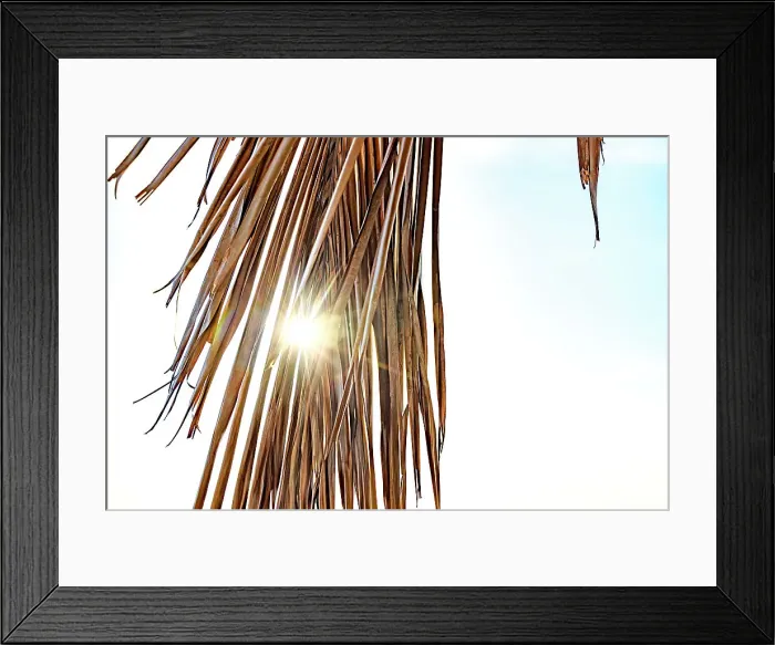 Framed Print : Sun peaking through palm tree leaf