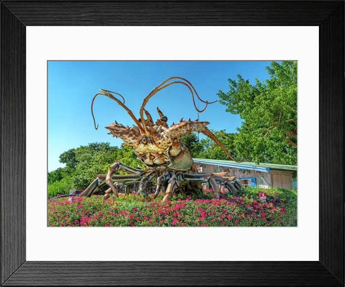 Framed Print : Florida, The Keys, Key Largo, The Rain Barrel Framed Print : Florida, The Keys, Key Largo, The Rain Barrel