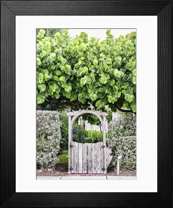 Framed Print : Wooden entrance surrounded by tree Framed Print : Wooden entrance surrounded by tree