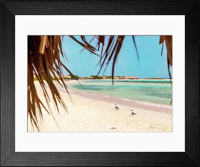 Framed Print : Aruba, Baby beach Scene from straw hut Framed Print : Aruba, Baby beach Scene from straw hut